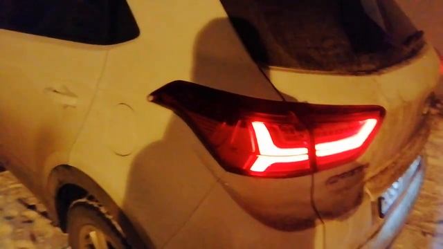 Hyundai: машины для любви к животным