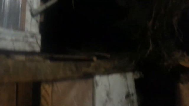 Всех с Рождеством Христовым! смотреть онлайн