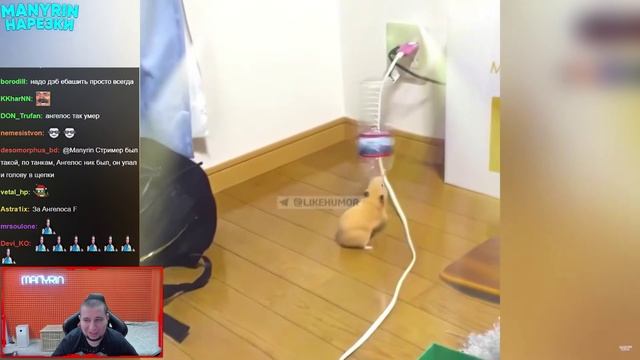 МАНУРИН СМОТРИТ ПОДБОРКУ СМЕХА - Попробуй не засмеяться, 450% проиграют | АКАДЕМИЯ СМЕХА смотреть онлайн