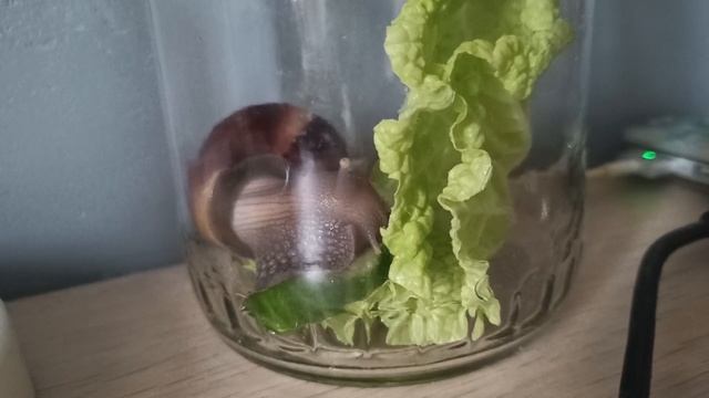 ФизФак 21ая неделя в МГУ (ЭКЗАМЕН №3) смотреть онлайн