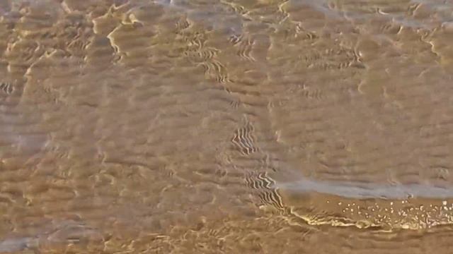 Воскресный день?04.06.2023 смотреть онлайн