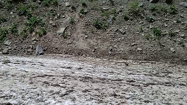 VID_20230611_122543.mp4