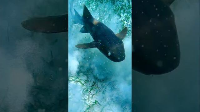 чем то я ее заинтересовал😬😬