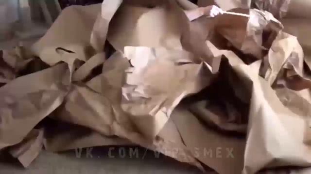 Подарок коту на день рождения смотреть онлайн