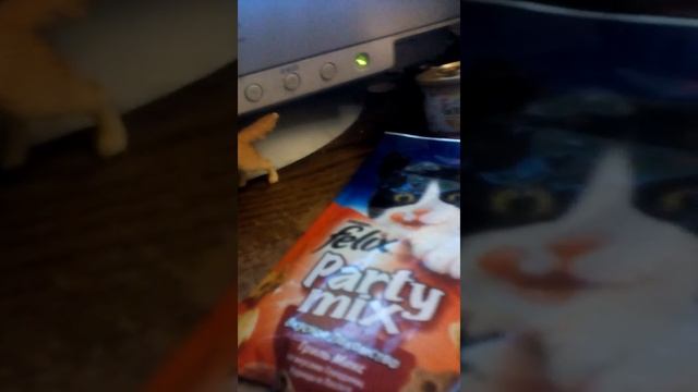 Обзор на еду для кошек смотреть онлайн