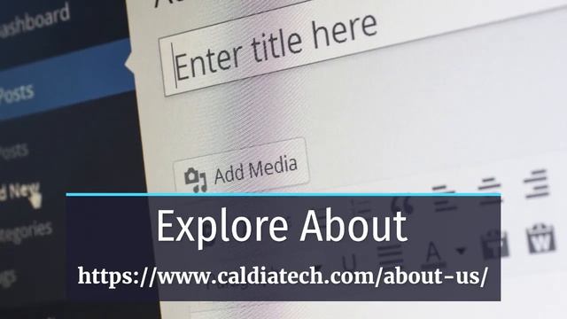 WordPress Development Services смотреть онлайн