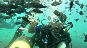 ДАЙВИНГ в Геленджике