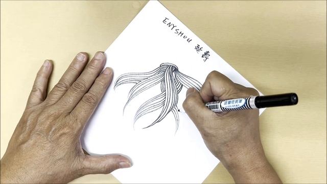 如何畫官方圖樣How to draw the Zentangle® Pattern ENYSHOU延壽 смотреть онлайн