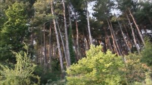 Цандрипш Октябрьская 4