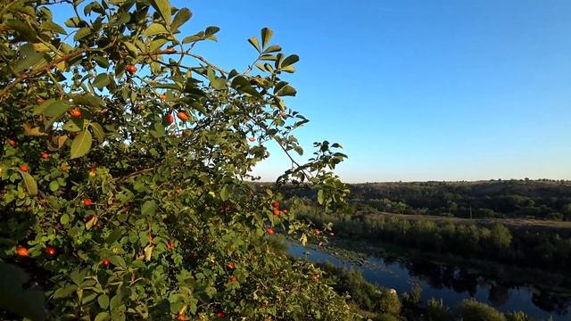 ВЛОГ//12 августа//ЗУБНЫЕ СТРАСТИ РАСПУХЛА ЩЕКА//КОТЛЕТЫ//ВИНЕГРЕТ//НАШЕ МЕНЮ НА ДЕНЬ смотреть онлайн