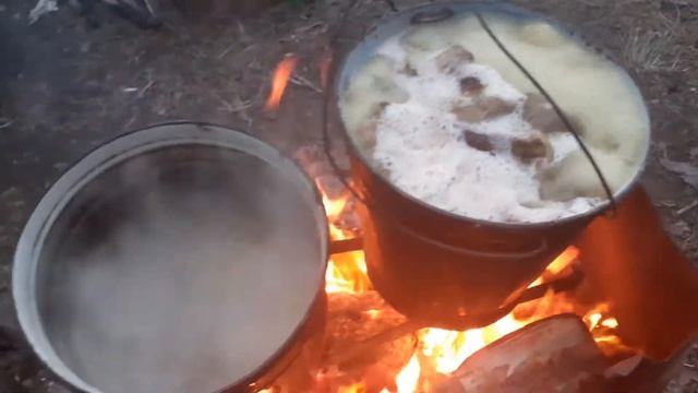 Обработка белых грибов в тайге смотреть онлайн