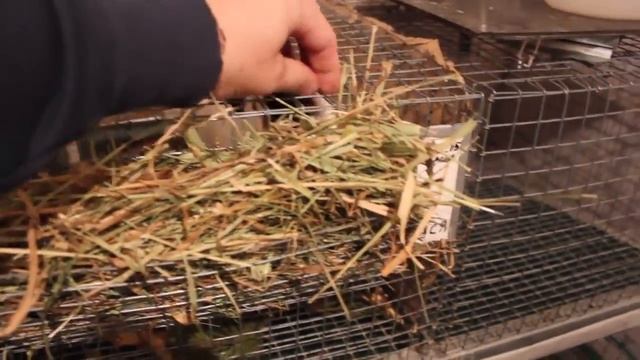 Как получить землю для хозяйства, этапы подробно смотреть онлайн