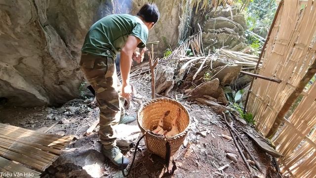 Find Traps And Move Shelter, My Wild Life & Survival Instinct | Triệu Văn Hào смотреть онлайн