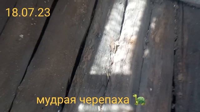 ремонт пола на даче. бюджетный ремонт. смотреть онлайн