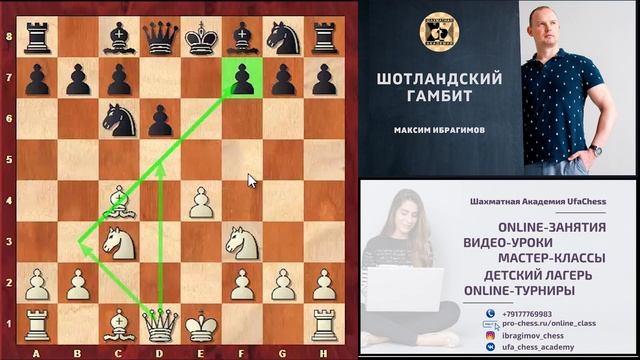 Шотландский гамбит смотреть онлайн