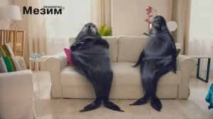 Реклама Мезим   Тюлени