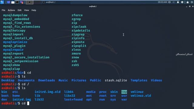 how to move from directory to folder on kali linux смотреть онлайн