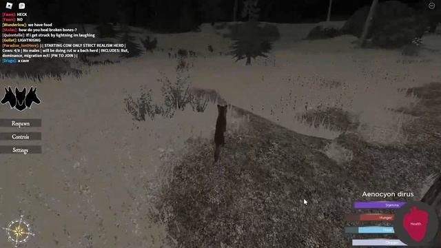 |Cenozoic Survival Roblox| Lone Wolf in the making of a pack leader! Part 1 смотреть онлайн