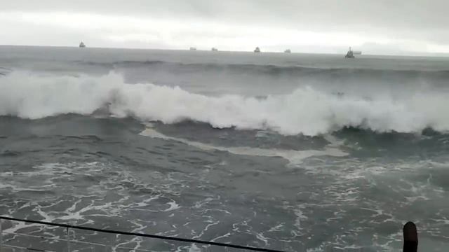 bertina en el ocean breeze 2 смотреть онлайн