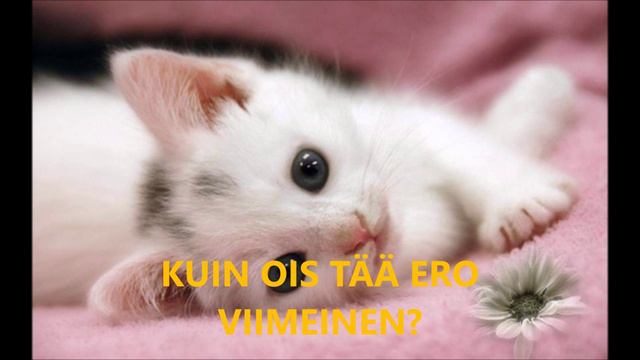 Eino Lehtinen- Hyvää yötä ystävä kallis (sanat) смотреть онлайн