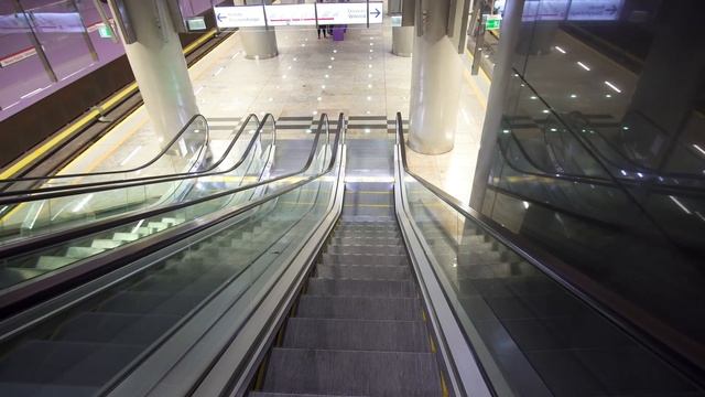 Poland, Warsaw, Nowy Świat-Uniwersytet metro station, 1X OTIS elevator, 2X escalator - going down смотреть онлайн