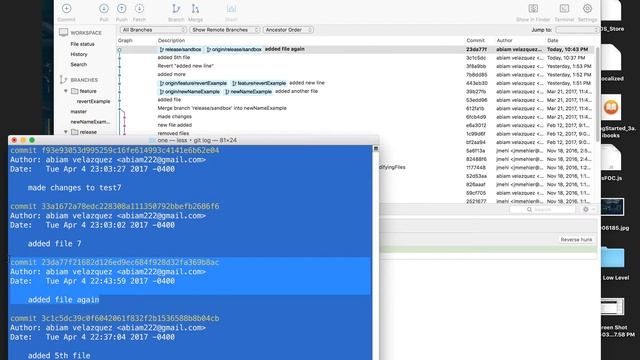 1 Git (Sourcetree) : undo or redo commit [local] смотреть онлайн