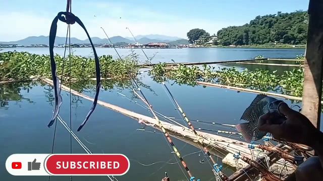 Mancing Cirata||Lagi dan lagi menemukan lapak bagus di tengah hutan[Spot Calincing lapak mang monti смотреть онлайн
