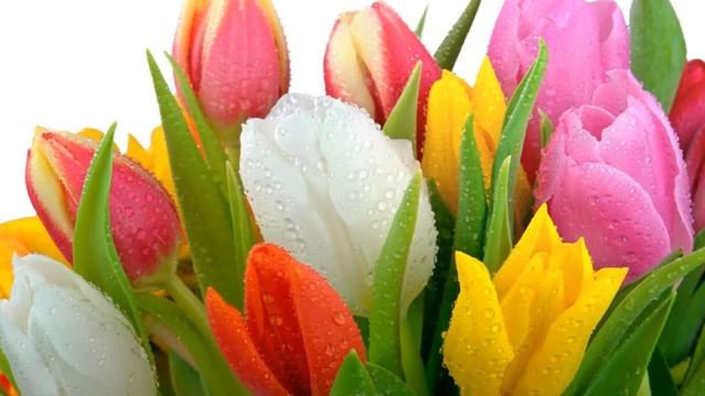 Веганская Кухня: Идеи и Рецепты