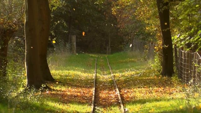 ДУНЁДАГИ ЭНГ ҲАВФЛИ ВА НОЁБ ИЛОНЛАР смотреть онлайн