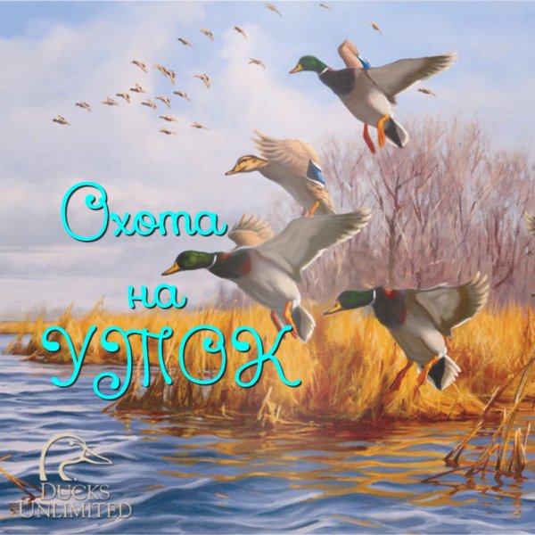 The Hunter classic(как я охотился на уток)