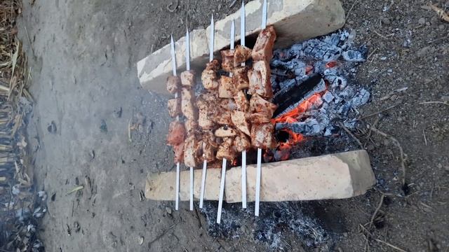 ШАШЛЫК по УЗБЕКСКИ| УЛИЧНАЯ ЕДА УЗБЕКИСТАНА | УЗБЕКСКАЯ КУХНЯ | ПЛОВ ЦЕНТР ТАШКЕНТ | КАЗАН КЕБАБ смотреть онлайн