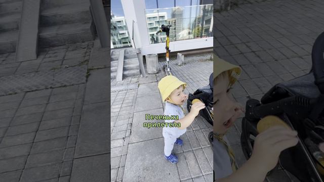 Домашняя суета. #дом #семья #baby #дети #работа #юмор #юмор #прикол #family #влог #буднипапы