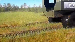 Каракат Тундра на ковровом болоте.