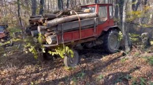 Трактор Т-16 в Лесу