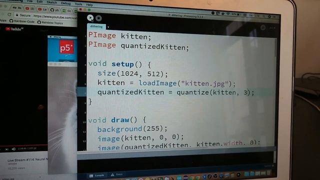 Quantized Kitten in Processing (Java) смотреть онлайн