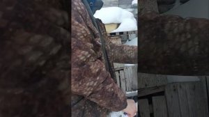 Забой кролика, снятие шкуры за минуту