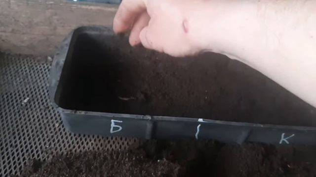 Как работают Биопрепараты.