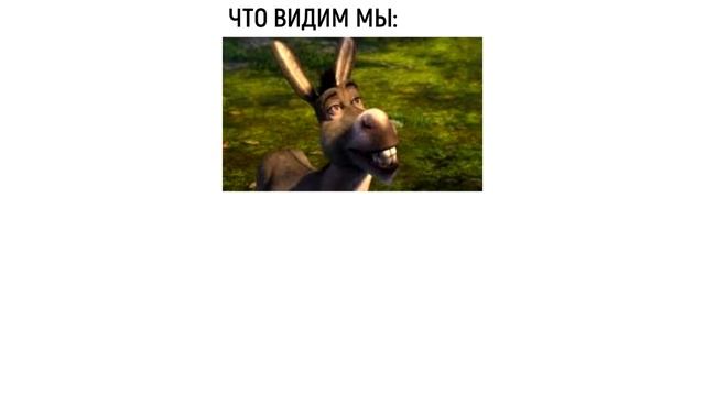 Мемы | Дневная подборка мемов 350 смотреть онлайн