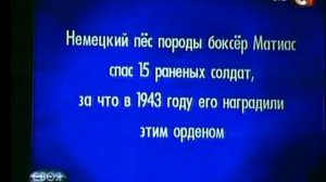 Своя игра. Матвеев - Коноваленко - Кутанов (28.05.2005)