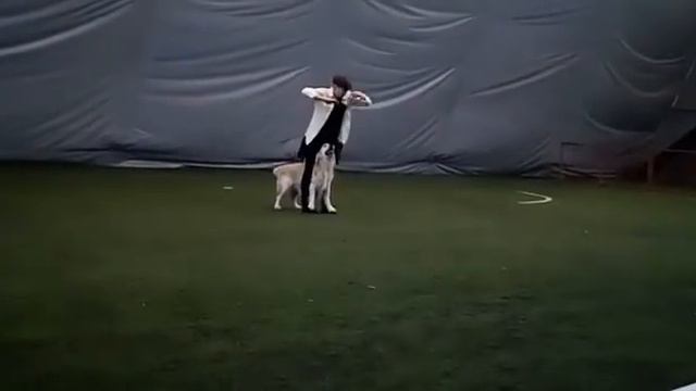 Волков Илья и Лойд мастер-фристайл