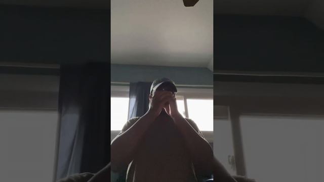 Improvisation and Fox Chase on the Harmonica смотреть онлайн