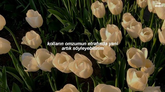 frank ocean - ivy (türkçe çeviri) смотреть онлайн