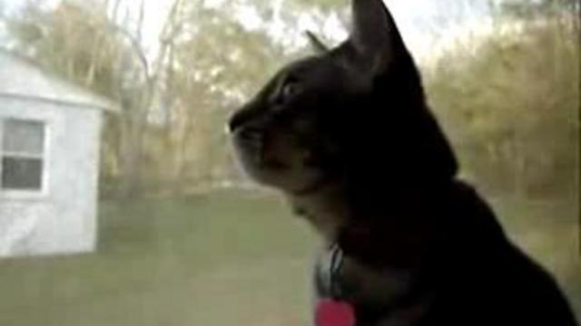 ùlm смотреть онлайн