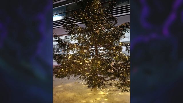 Xiaomi 11T. Стоит ли покупать ? Или все же Xiaomi Mi10T смотреть онлайн