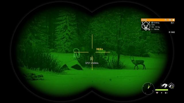 Something Wrong With The Medved Predators?! смотреть онлайн