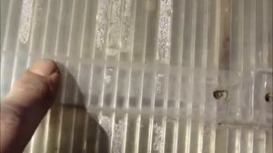 Поликарбонат если не правильно