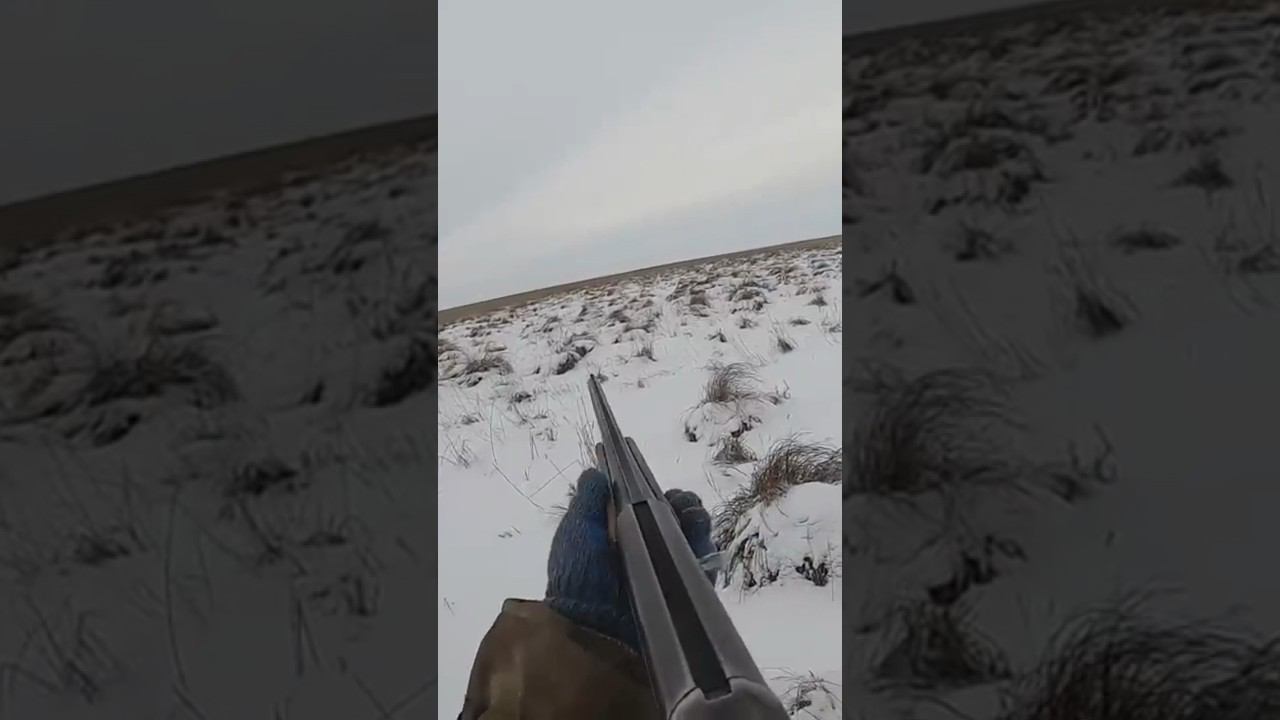 ДОБОР ПОДРАНКА #охота #охотаназайца смотреть онлайн