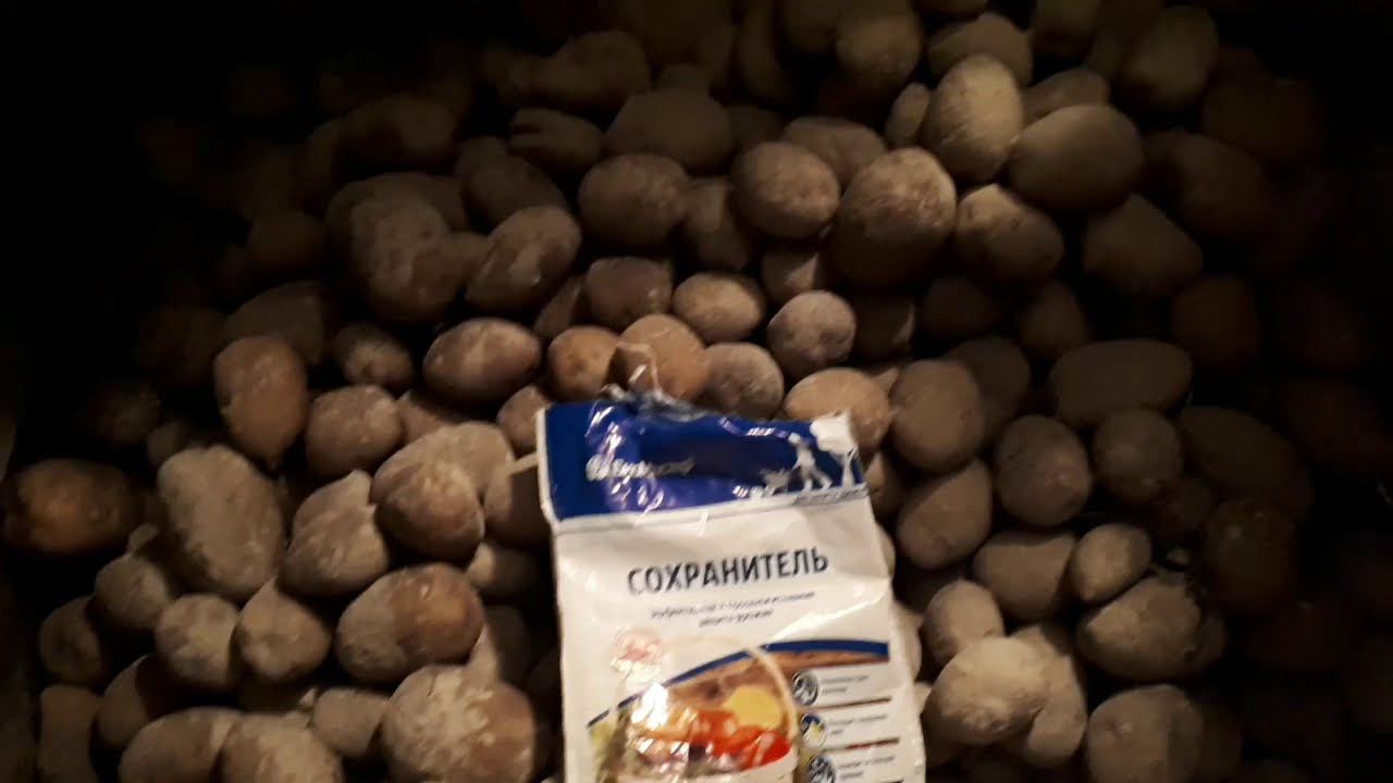 А как вы храните картофель?