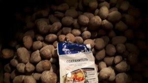 А как вы храните картофель?