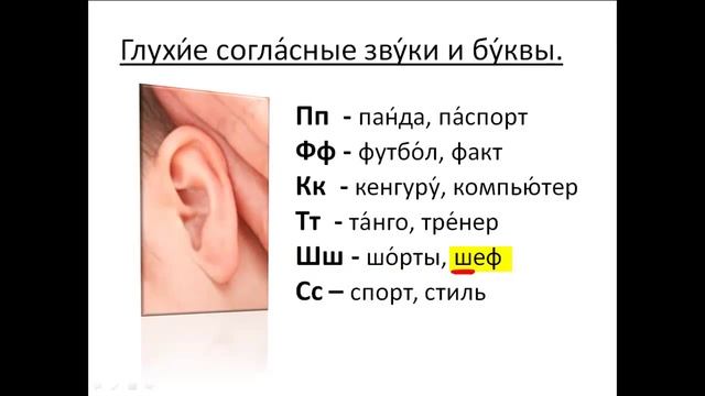 Free Russian language courses for foreigners. Lesson 14. Voiceless consonants and letters смотреть онлайн